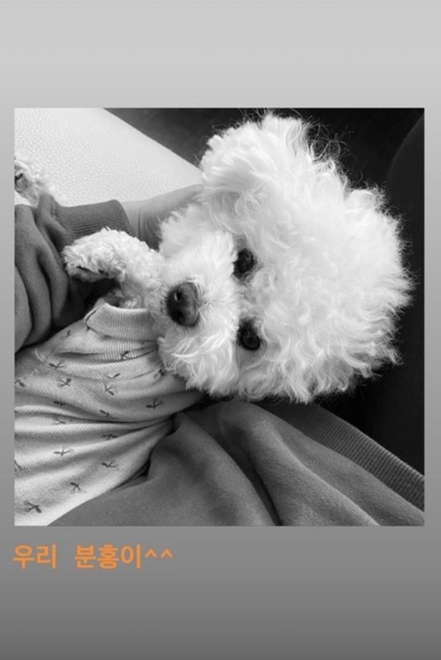 Song Hye Kyo Song Joong Ki ly hon anh 1