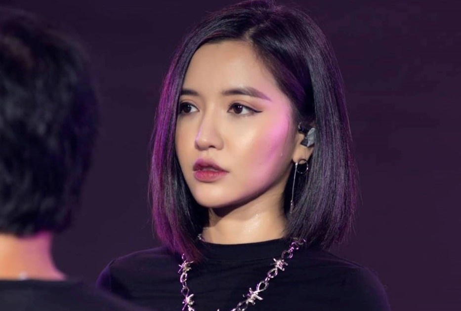 Hang loat ca si Viet huy show vi lo so virus corona hinh anh