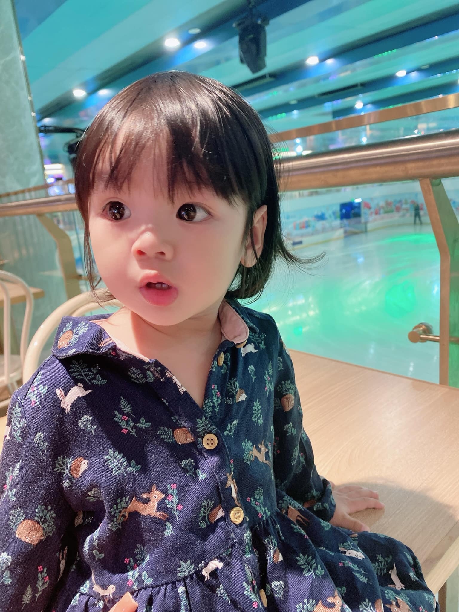 vợ chồng hoài lâm ảnh 1 vo chong hoai lam anh 1