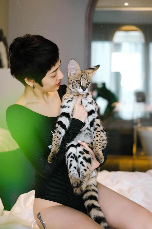 valentine 2020 anh 8