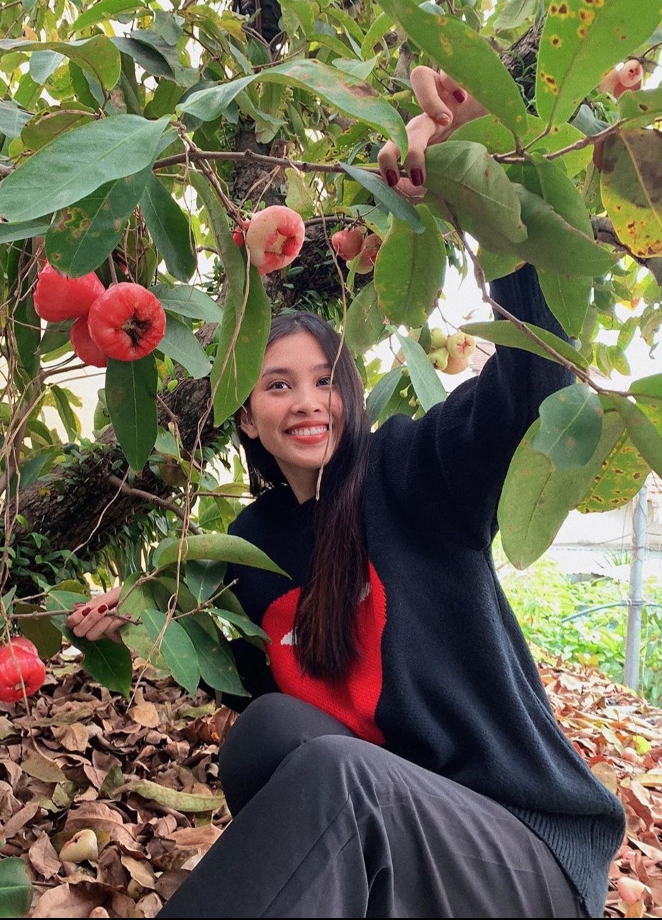 hoa hau tieu vy anh 7