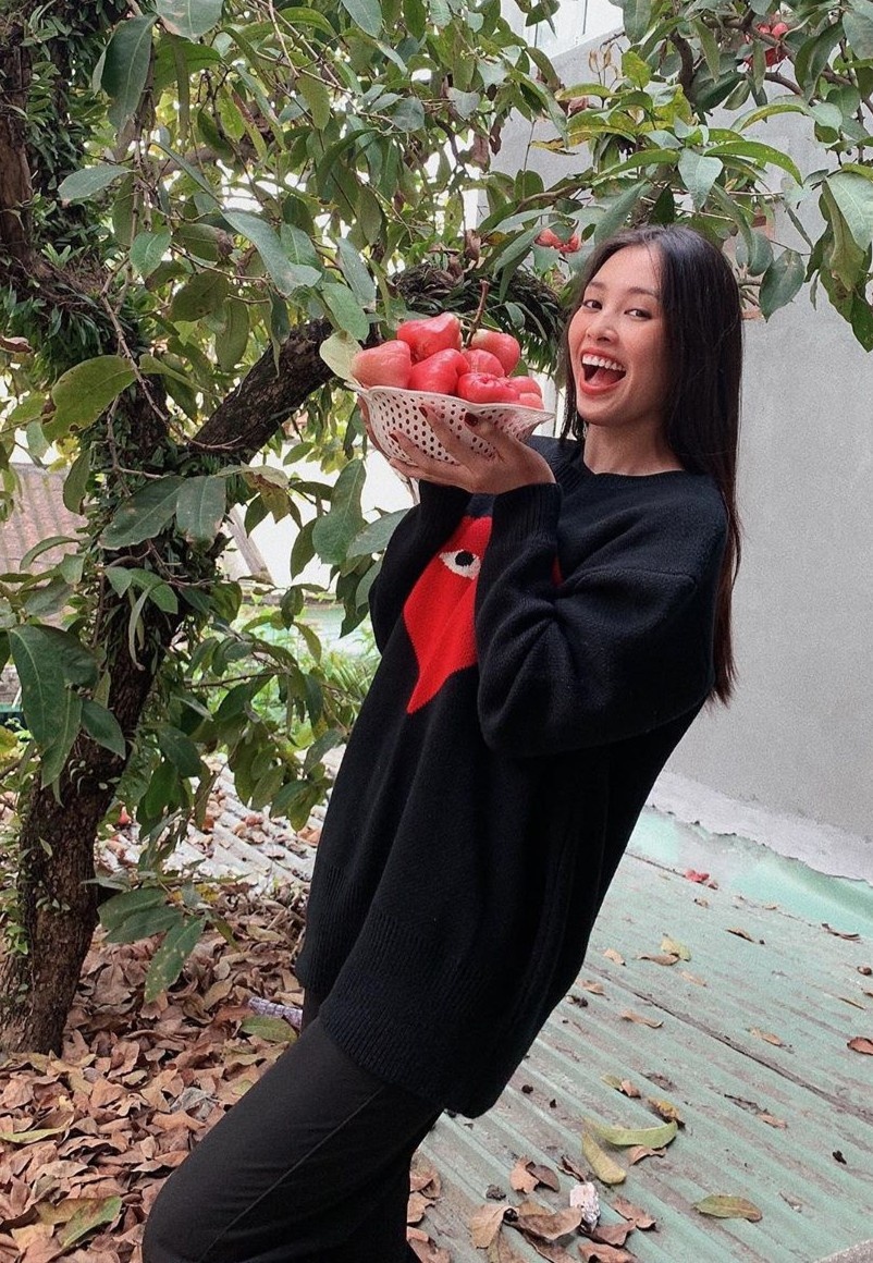 hoa hau tieu vy anh 6