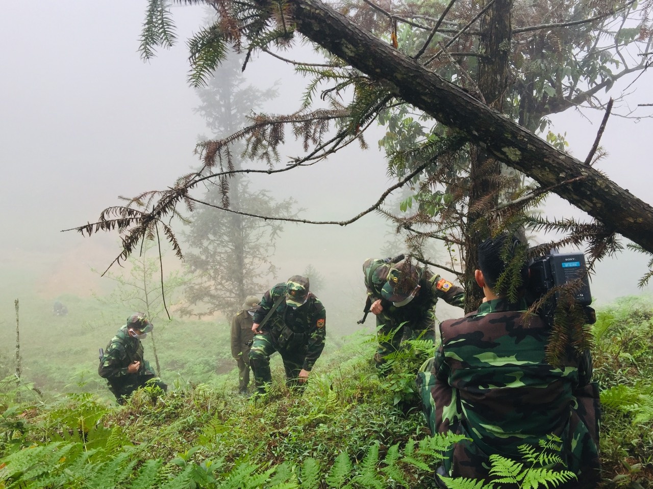 covid-19 ảnh 4 covid-19 anh 4