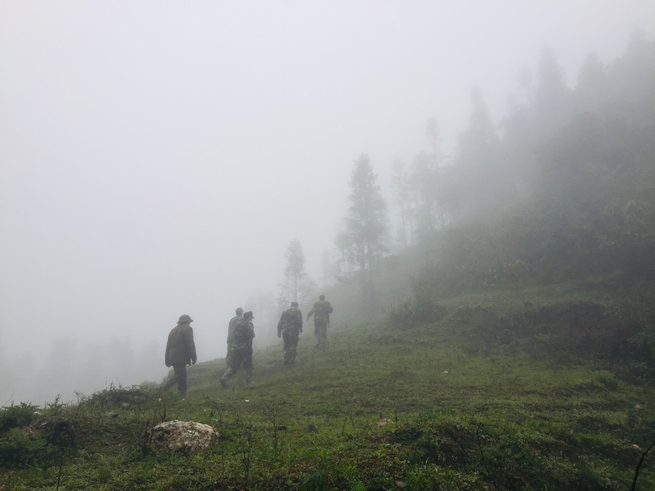 covid-19 ảnh 5 covid-19 anh 5