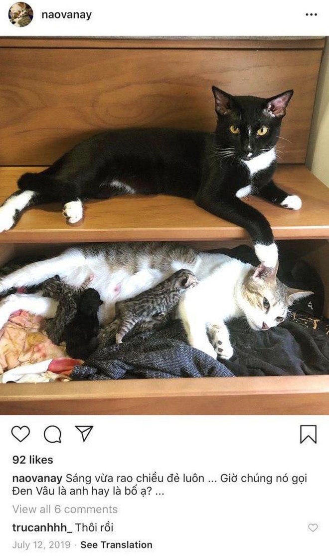 trúc anh nhu đặng hẹn hò ảnh 1 truc anh nhu dang hen ho anh 1