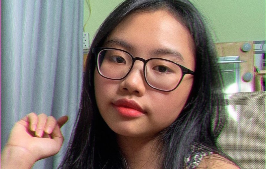 Phuong My Chi phan ung truoc y kien tieu cuc hinh anh