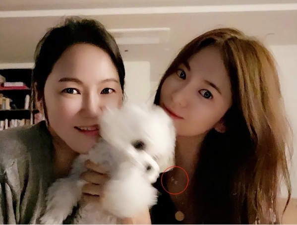 Song Hye Kyo quay lai voi Hyun Bin anh 1