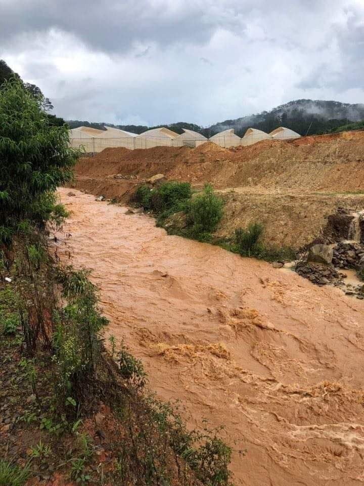 Mâu Thủy tham gia Dalat Ultra Trail ảnh 2 Mau Thuy tham gia Dalat Ultra Trail anh 2