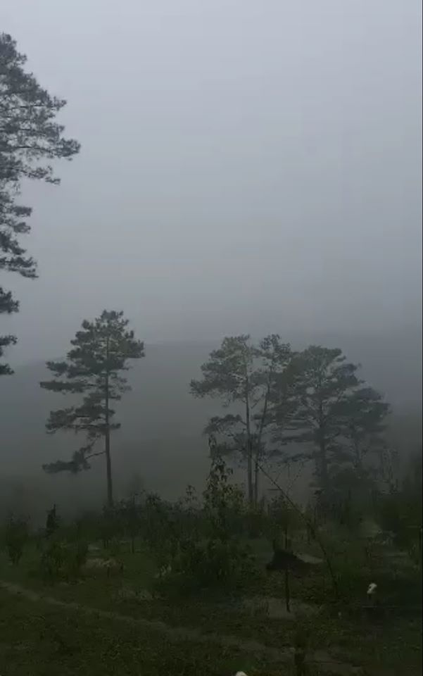 Mâu Thủy tham gia Dalat Ultra Trail ảnh 3 Mau Thuy tham gia Dalat Ultra Trail anh 3