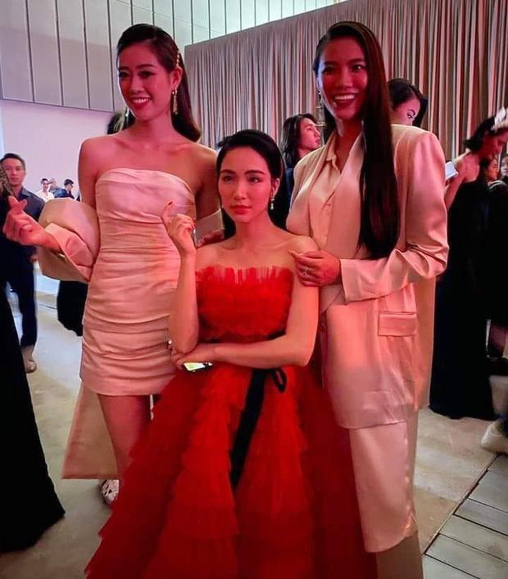 Hoa minzy dim chieu cao anh 2