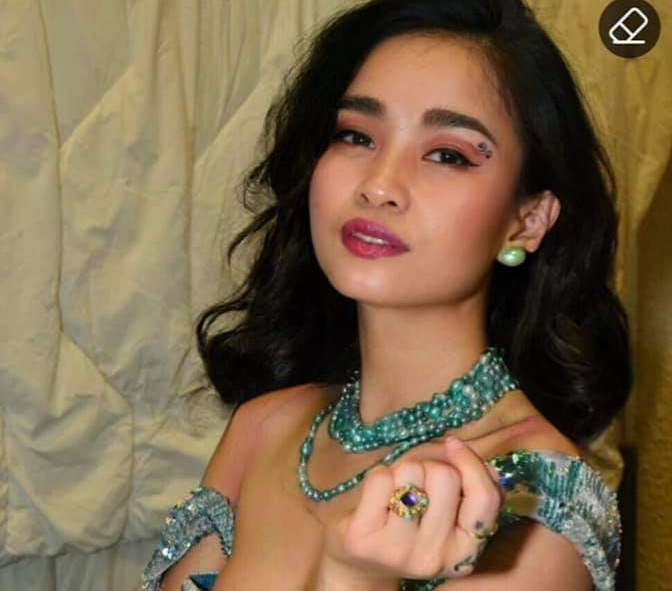 Ca si Dong Lan mac Covid-19 o Phap hinh anh