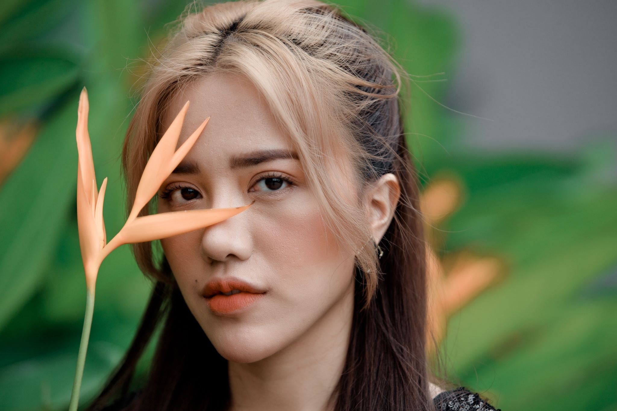 Phùng Khánh Linh  ảnh 7 Phung Khanh Linh anh 7