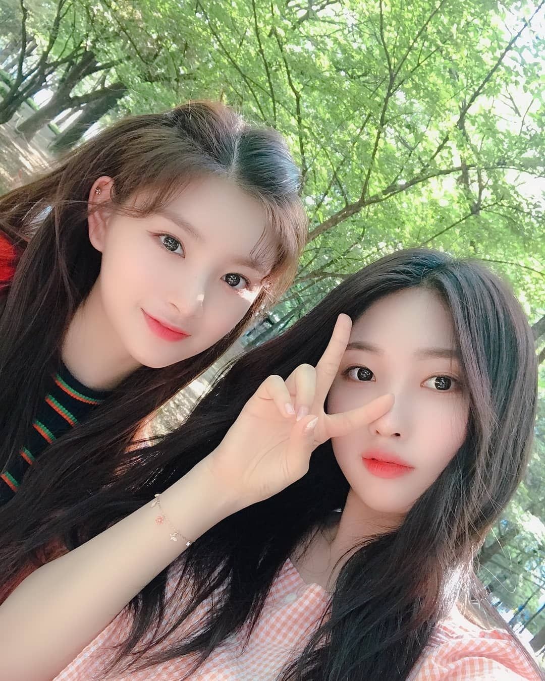 EVERGLOW bien mat anh 4