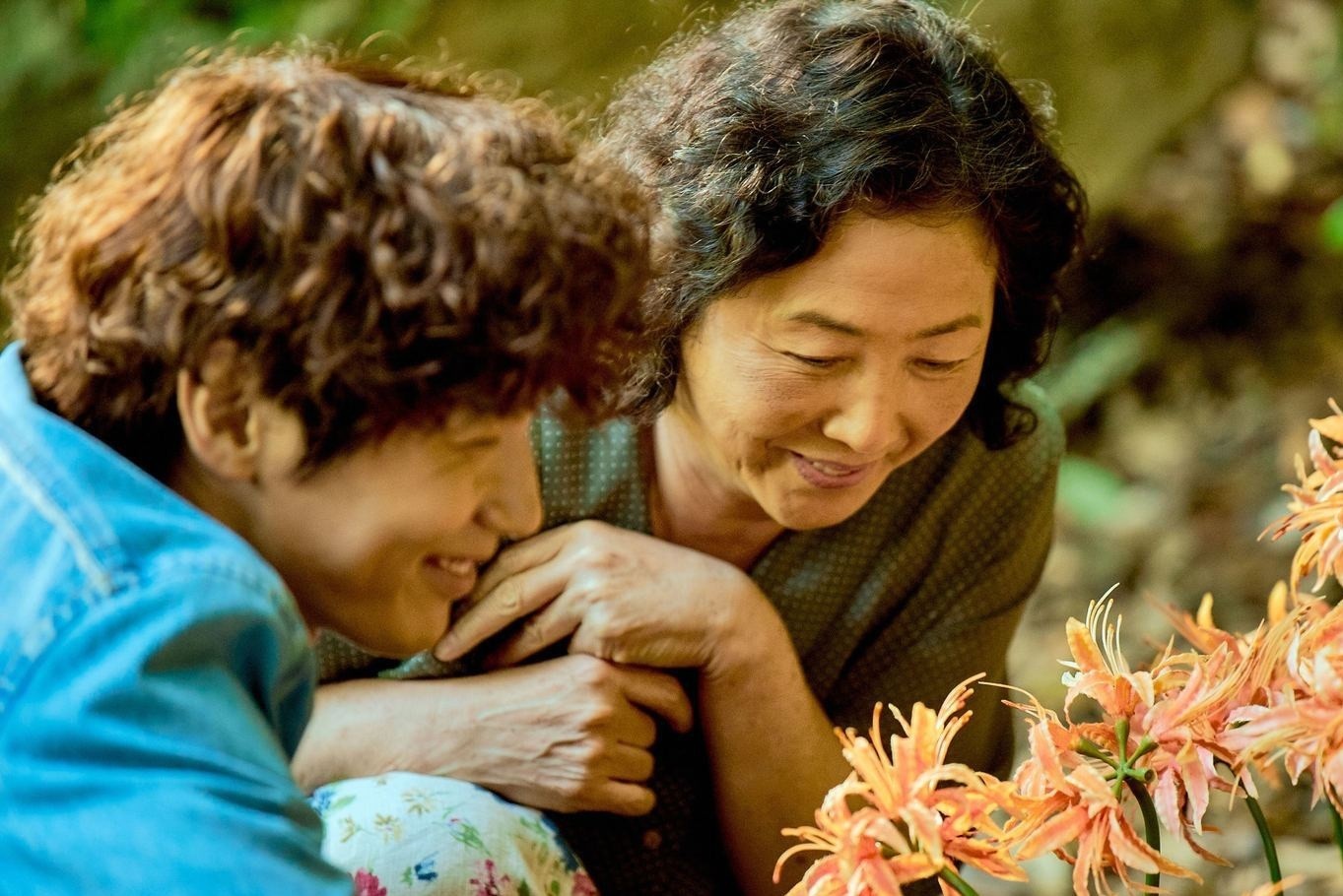 'Mat 3 tuan de quyet dinh nhan phim vi ban dien da 70 tuoi' hinh anh