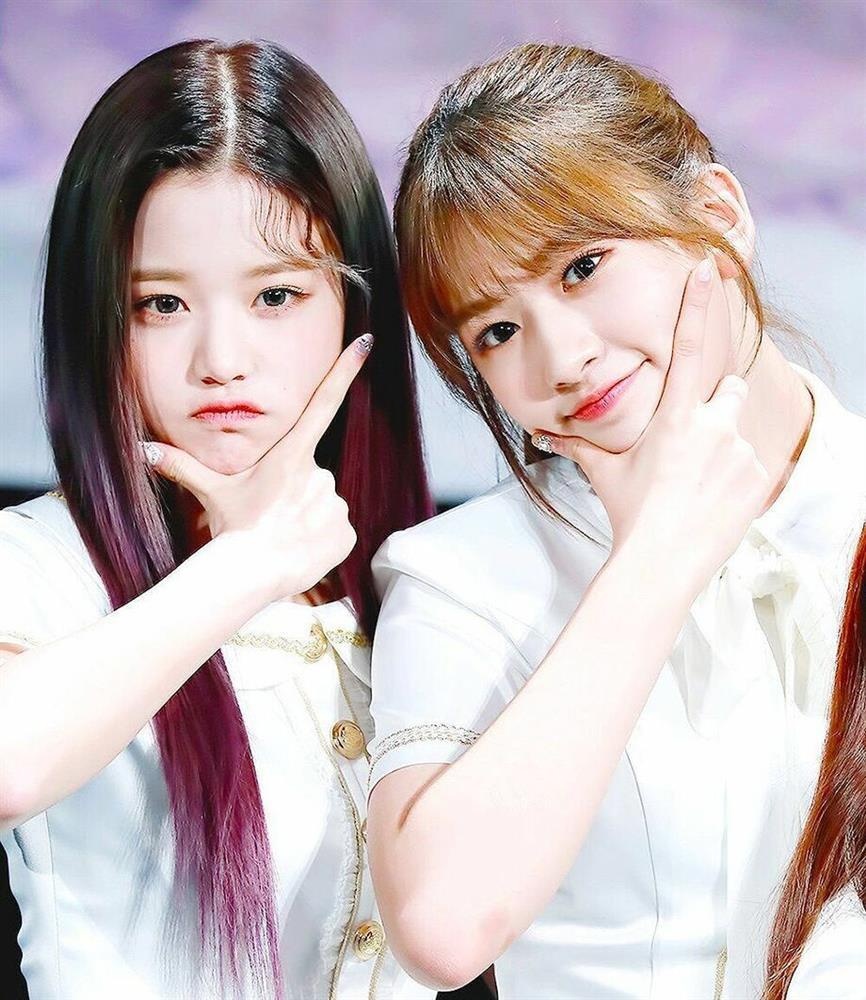 IZ*ONE tan rã ảnh 8 IZ*ONE tan ra anh 8
