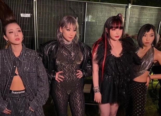 2NE1 tai hop sau 6 nam hinh anh