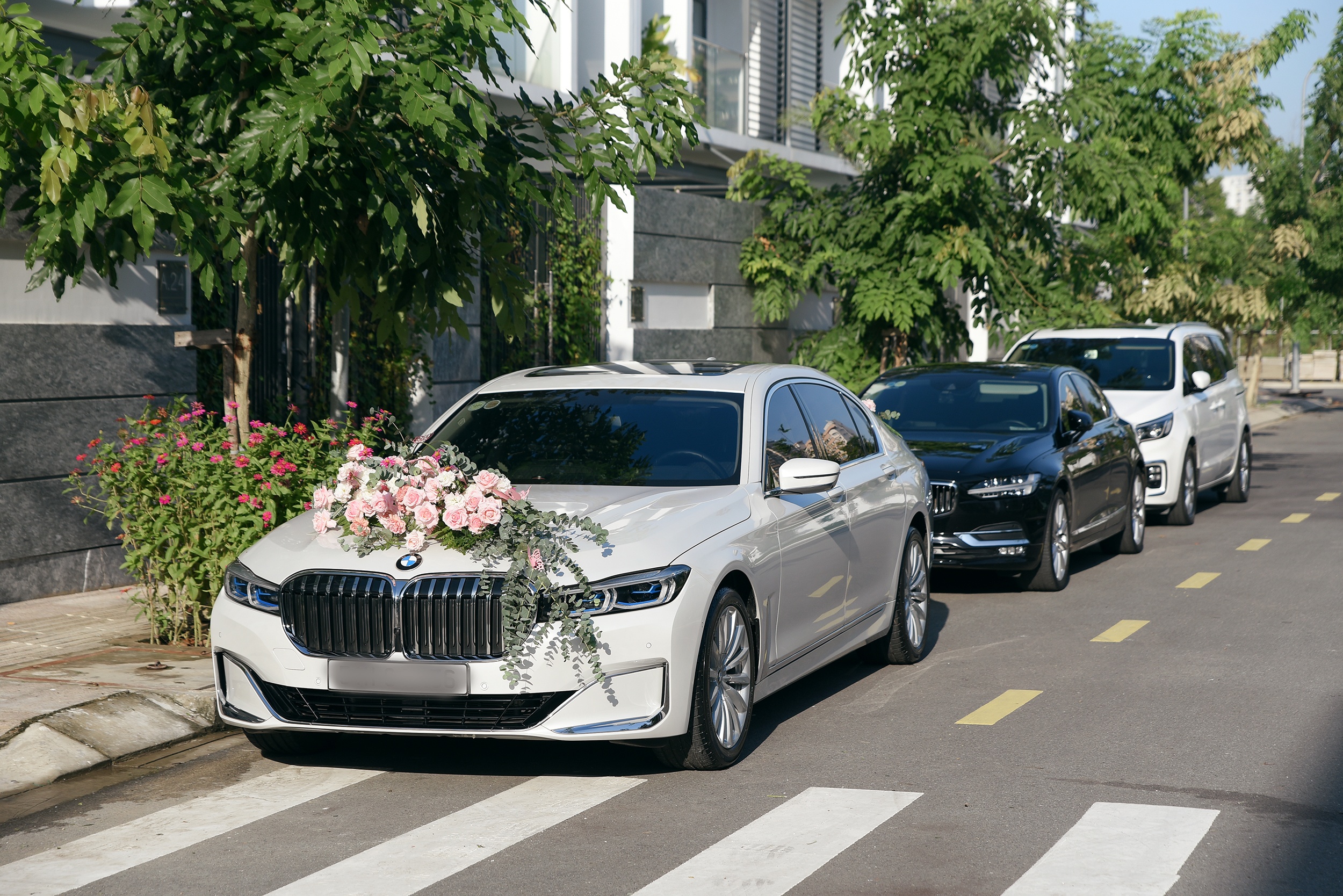 le ruoc dau minh hang anh 15