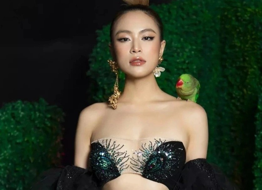 Tranh cai khi am nhac truyen thong Viet ket hop hien dai hinh anh