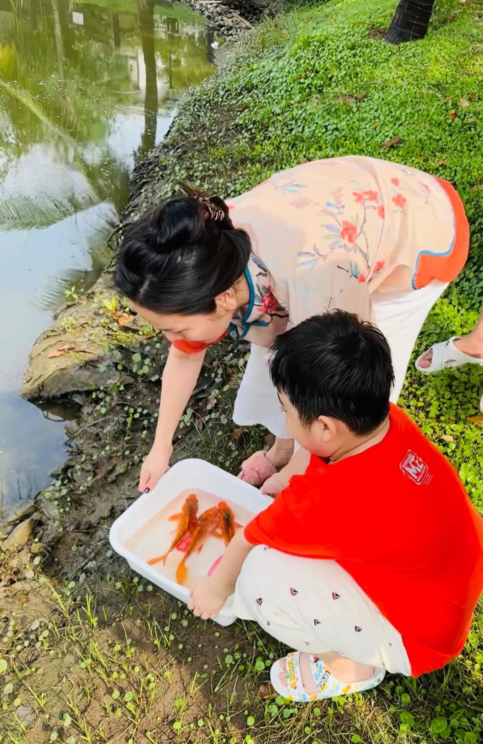 cung ong Cong anh 11