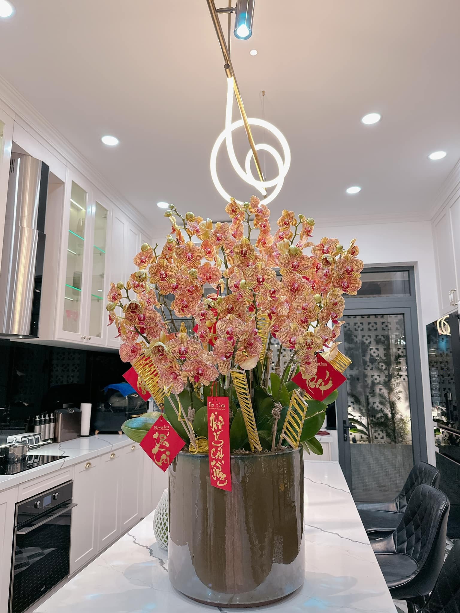 Tet Nguyen dan anh 12