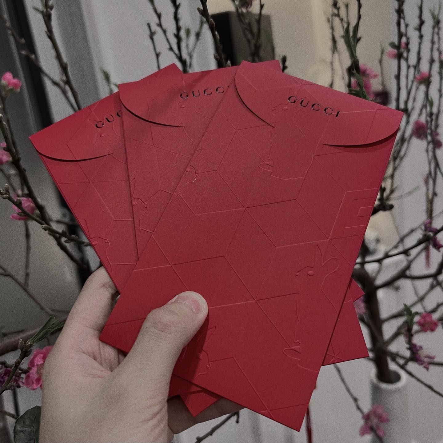 Tết Nguyên đán ảnh 2 Tet Nguyen dan anh 2