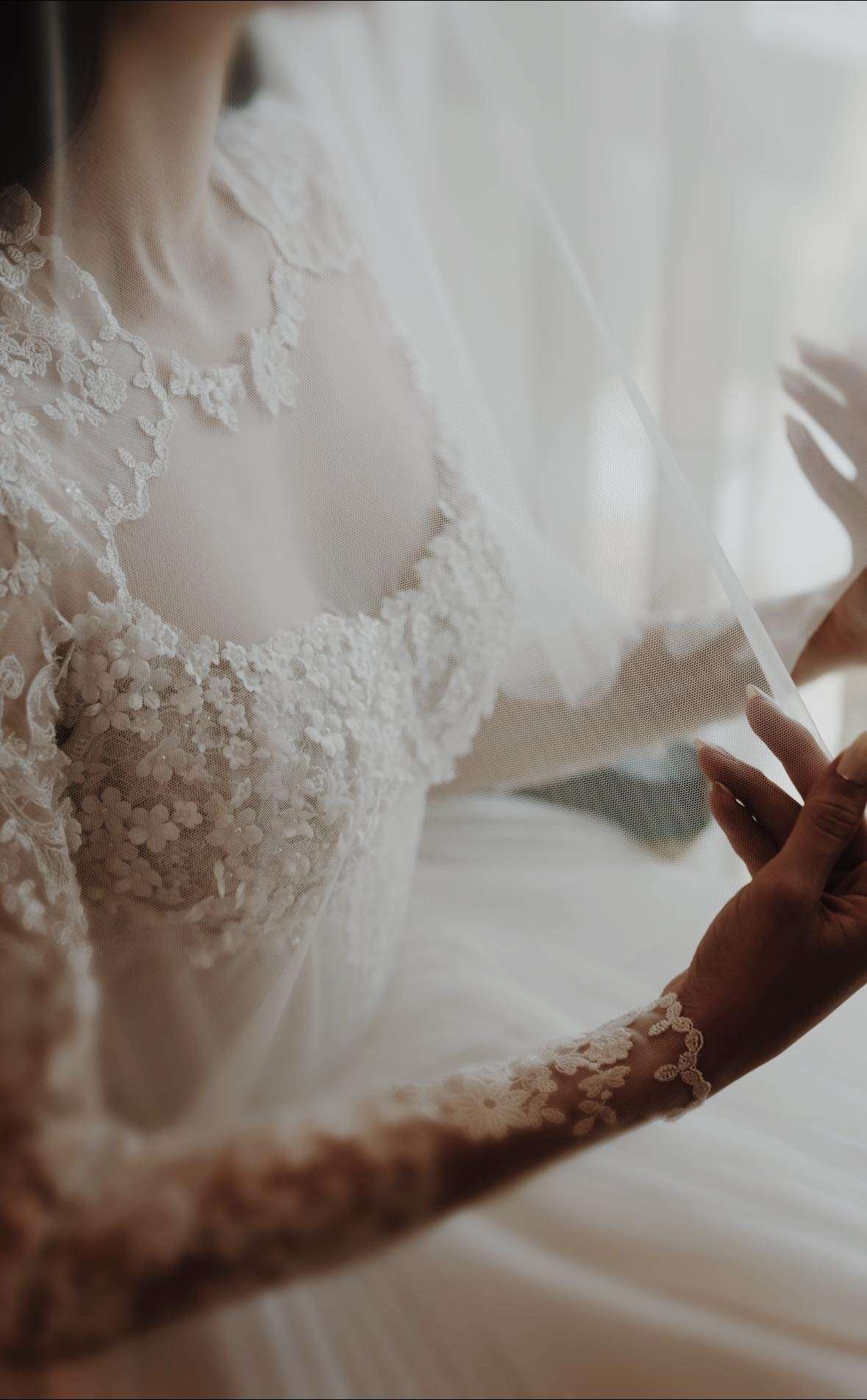 Phillip Nguyễn cưới ảnh 2 Phillip Nguyen cuoi anh 2