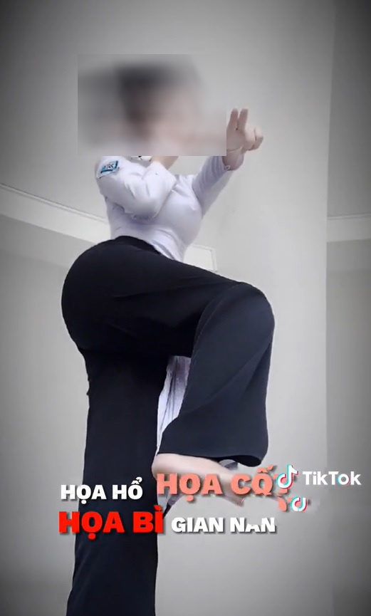 nhac che TikTok anh 2