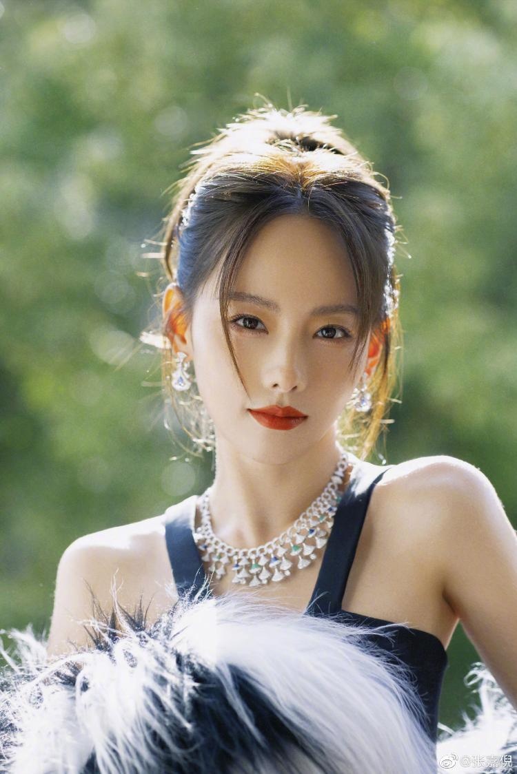 Truong Gia Nghe anh 2