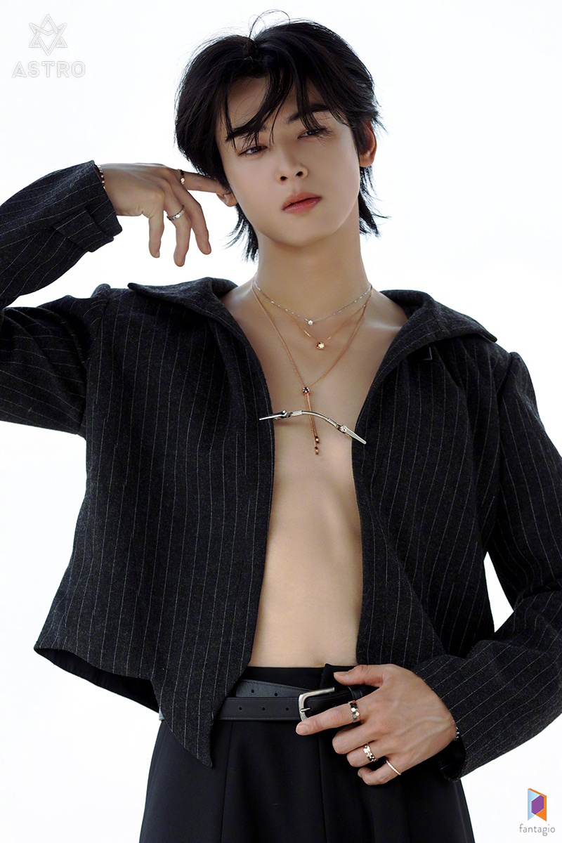 Cha Eun Woo anh 8