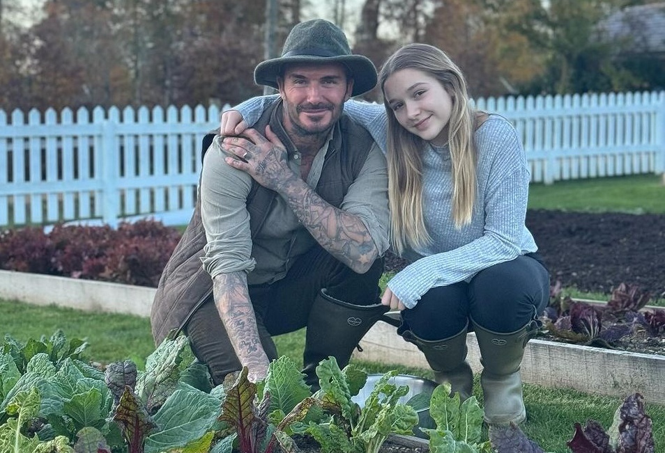 Victoria lo lang khi David Beckham me trong rau, nuoi ga hinh anh