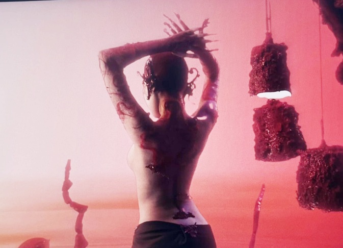 Anh ban khoa than cua Phao gay ban tan hinh anh