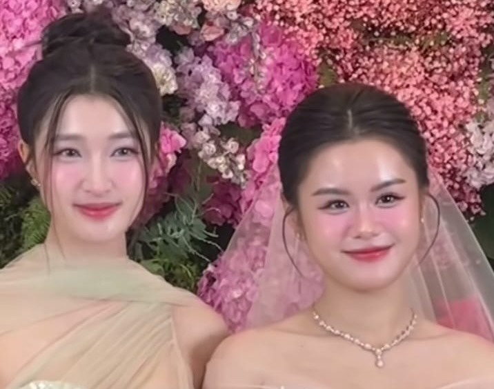 Phuong Nhi lo dien hinh anh