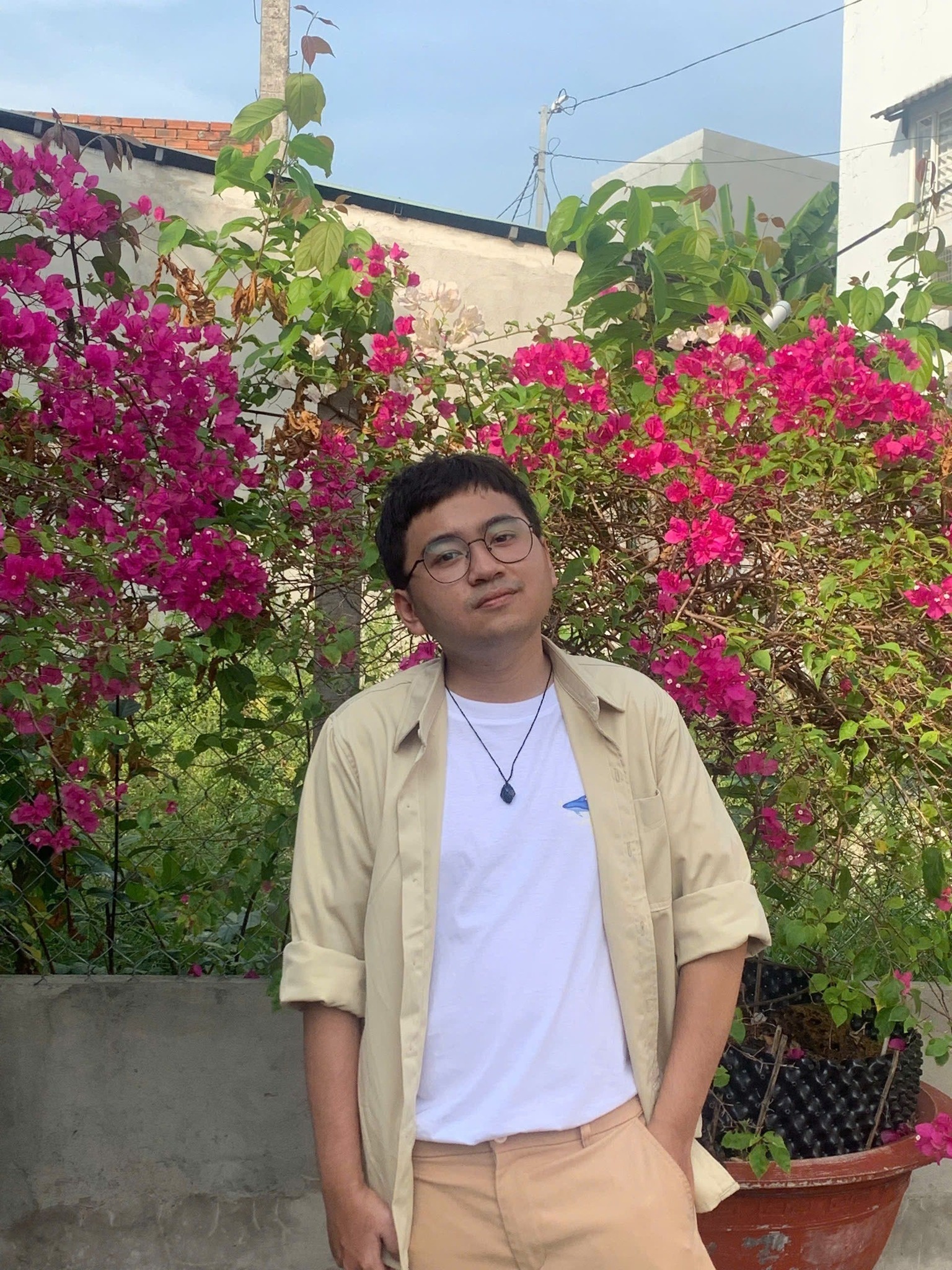 Dinh The qua doi anh 1