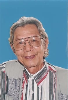 Lu Nhat Vu anh 1