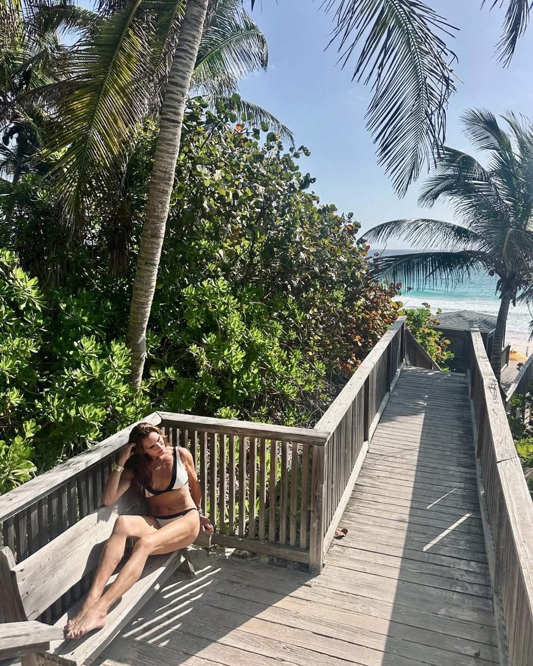 Brooke Shields anh 2