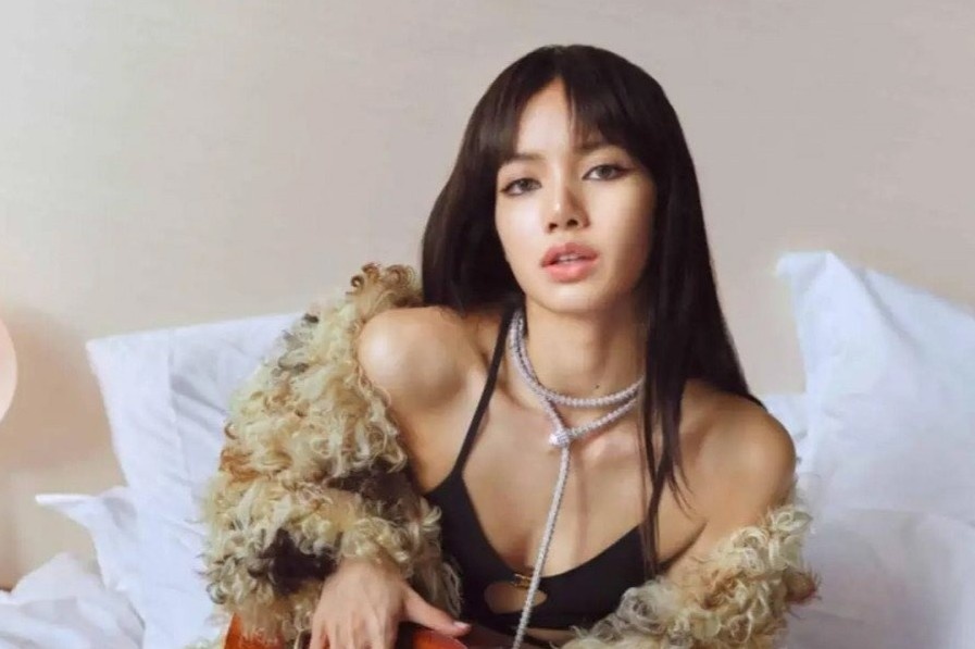 Lisa mac xuyen thau lo noi y hinh anh