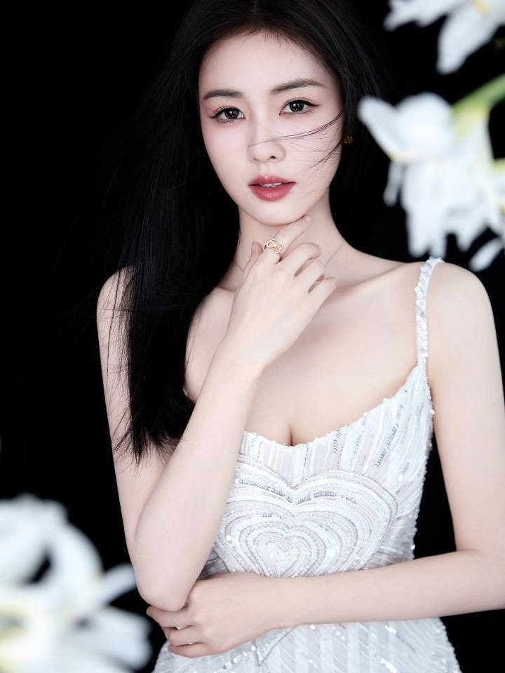 mỹ nhân ảnh 4 my nhan anh 4