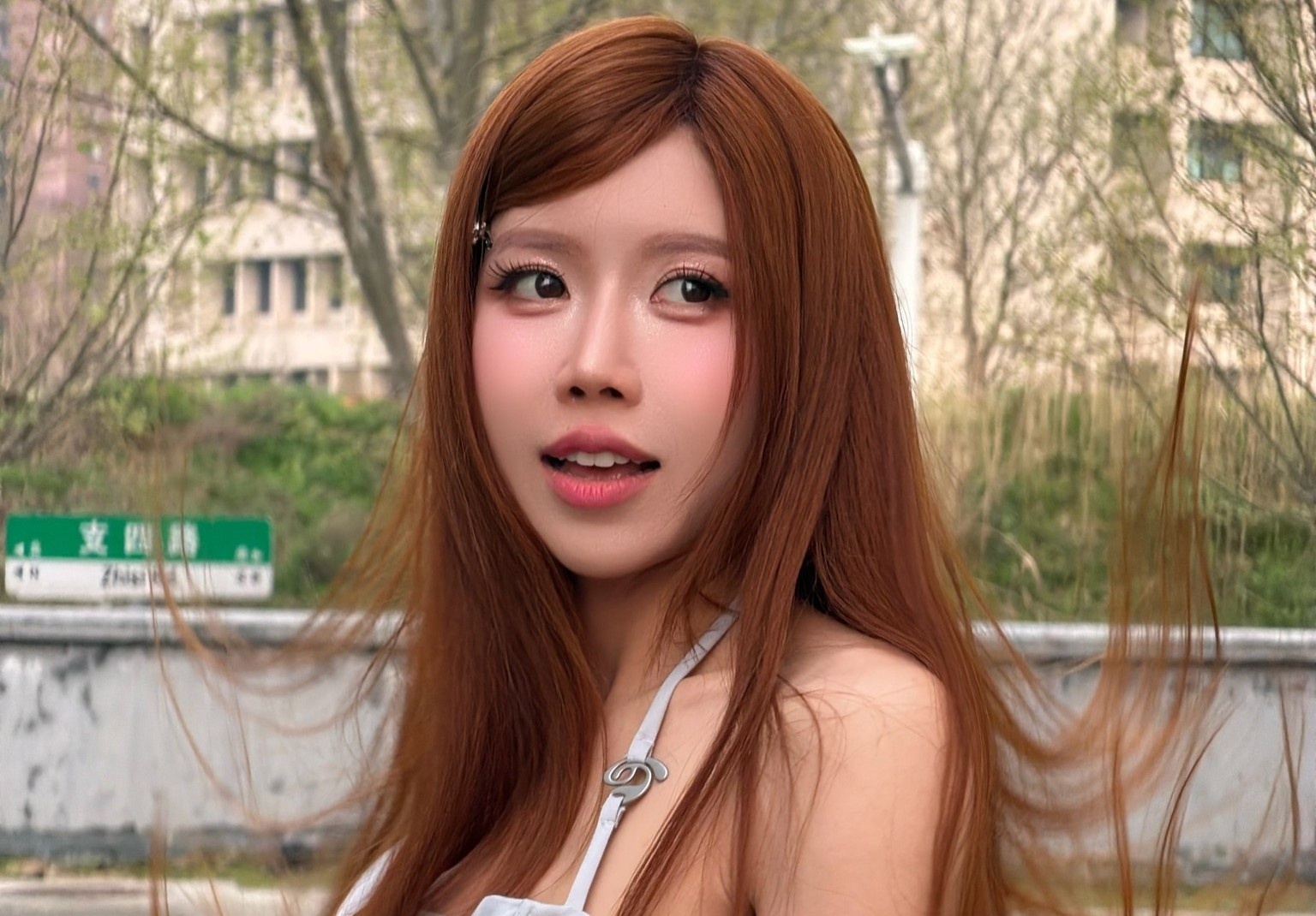 Trang Phap gay lo lang hinh anh