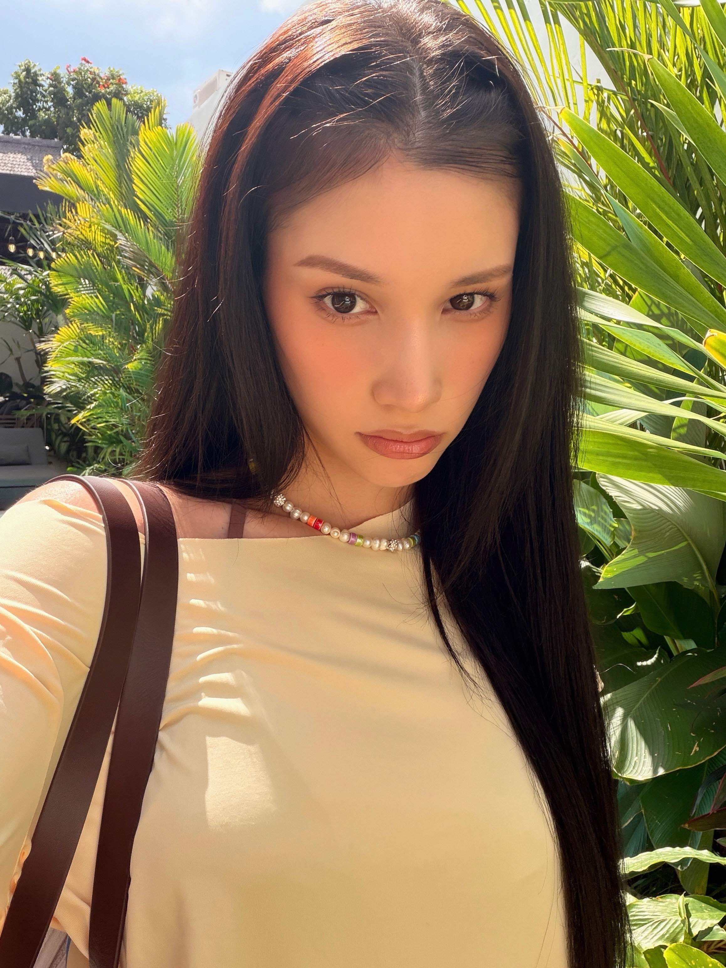 Bông hồng lai ảnh 2 Bong hong lai anh 2