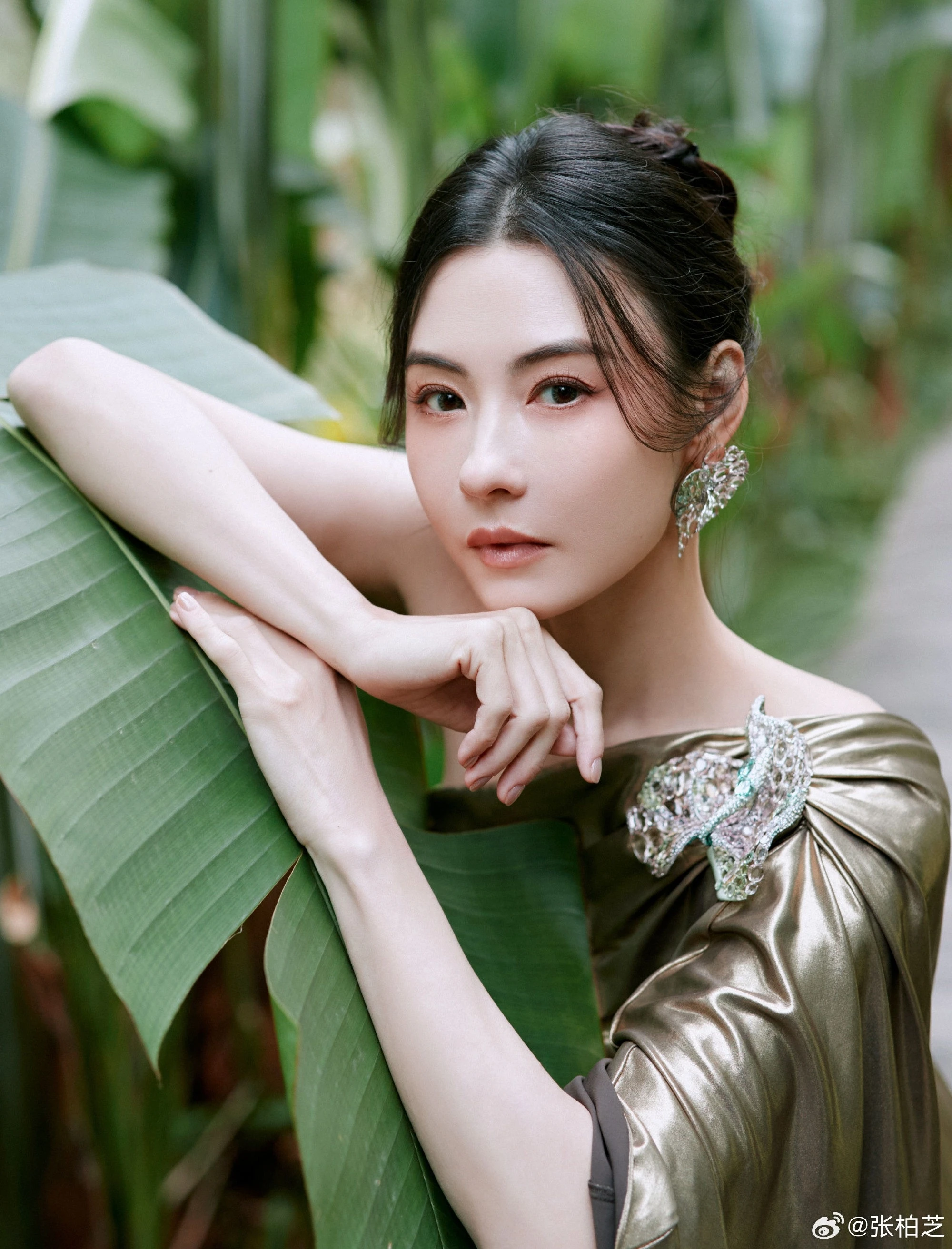 Trương B&aacute; Chi ảnh 2