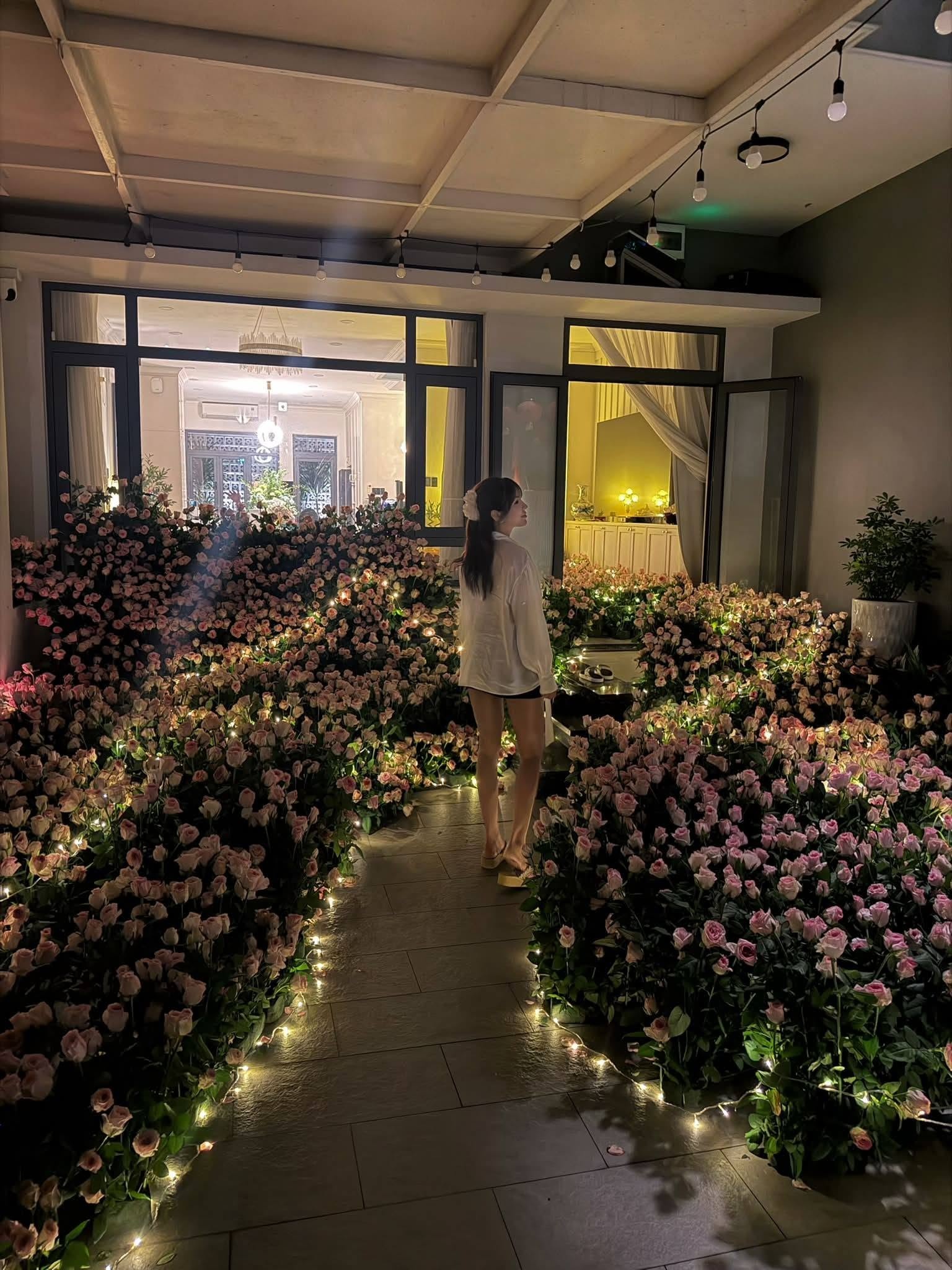 Diệp L&acirc;m Anh ảnh 2