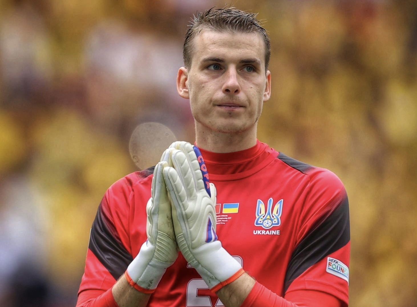 Lunin xin loi hinh anh