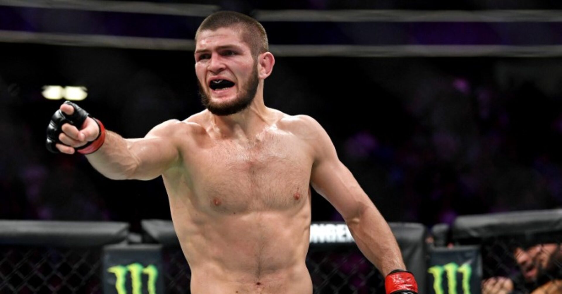 Khabib gui loi thuc tinh McGregor hinh anh
