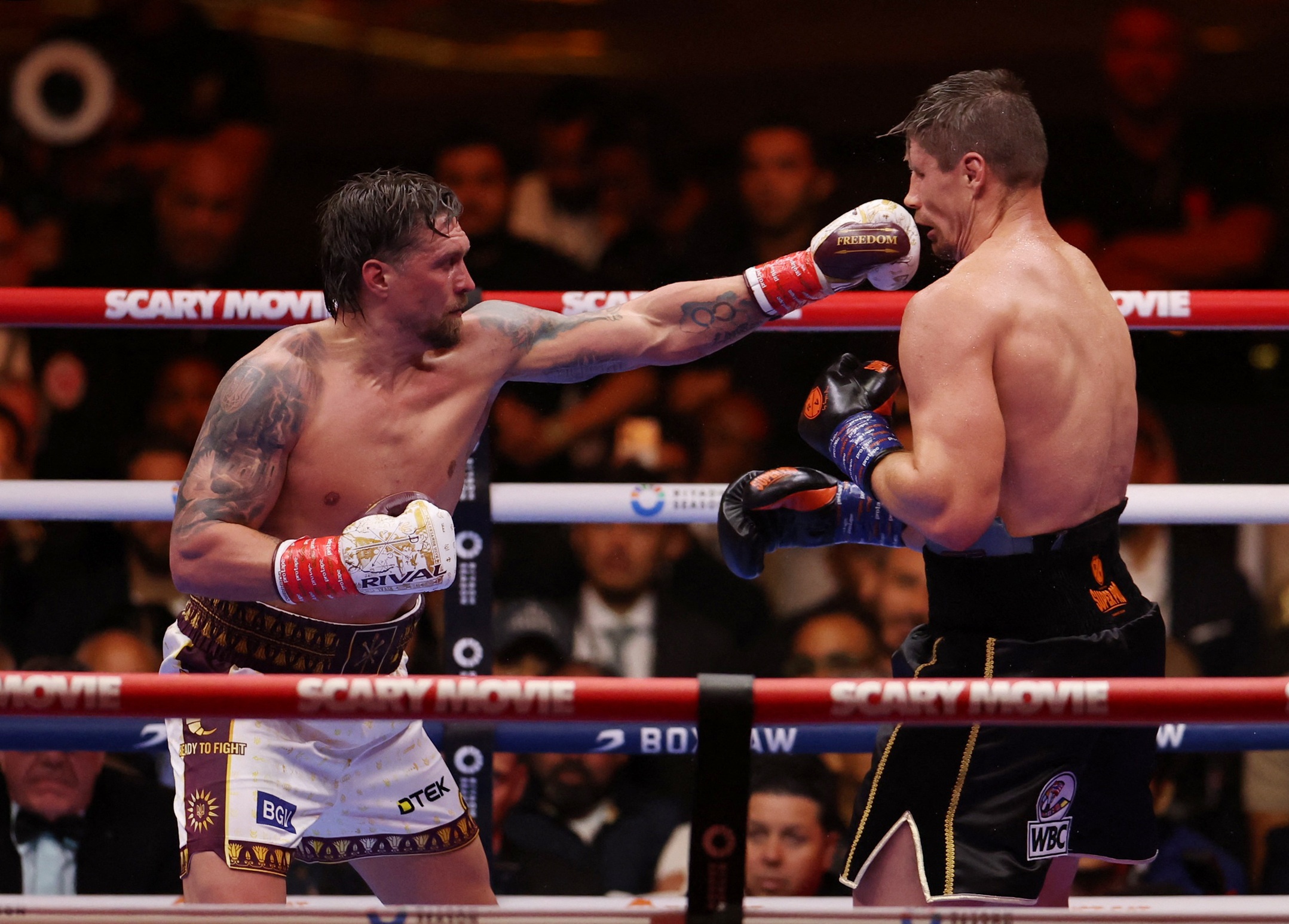Usyk anh 1