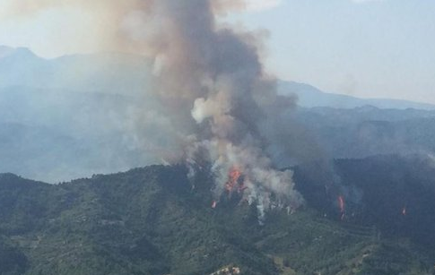 Hai chien dau co Italy lao vao nhau giua khong trung hinh anh