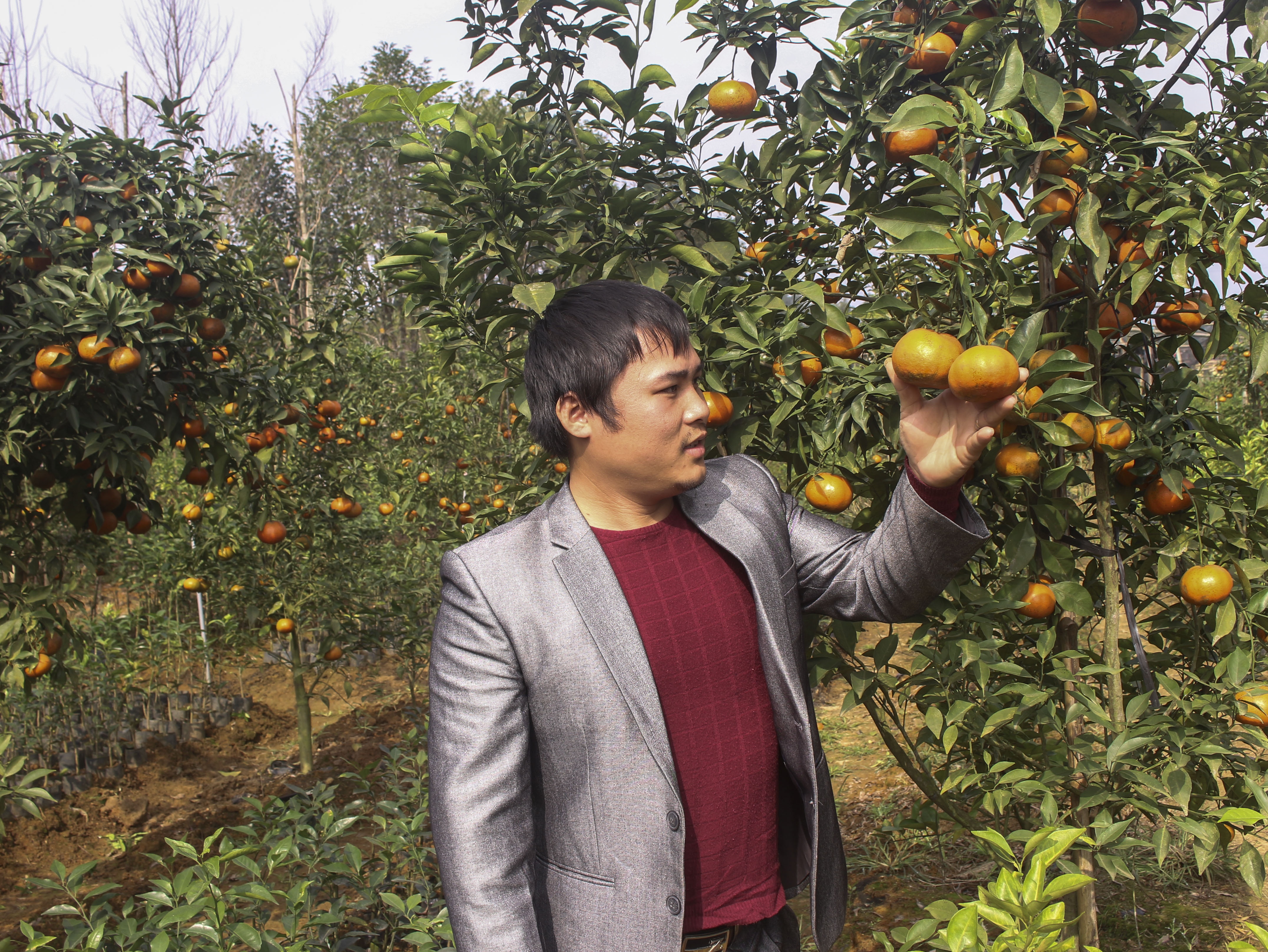 9X tat nguyen thu tien ty nho vuon uom cay giong xuat ngoai hinh anh