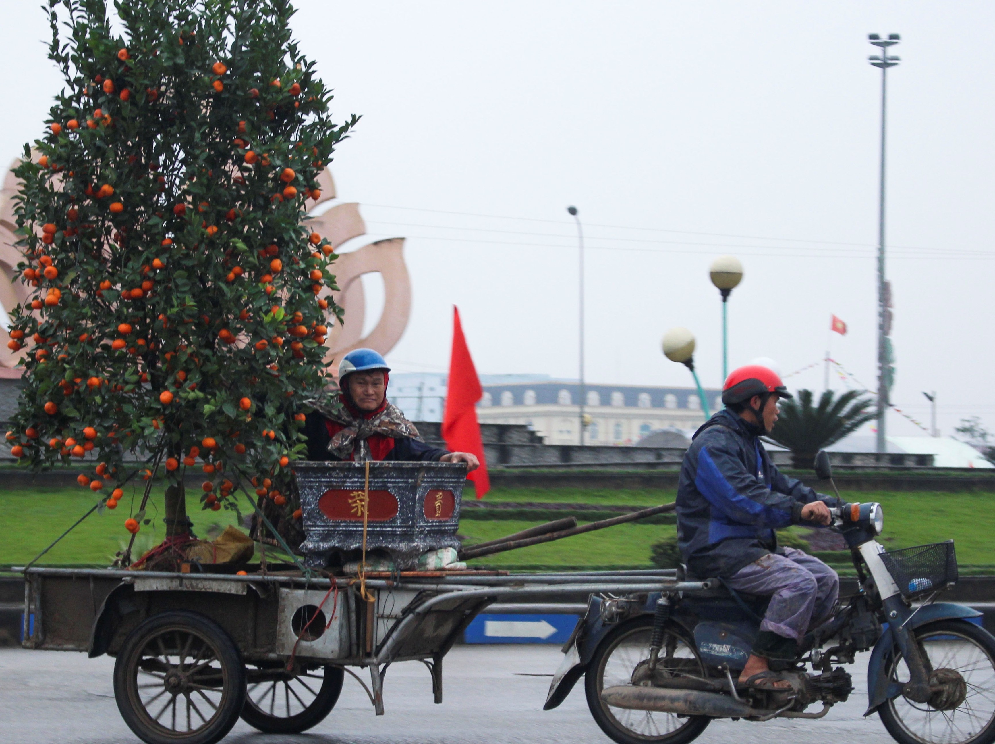 Thu nhap ca trieu dong nho cho cay canh thue dip Tet hinh anh