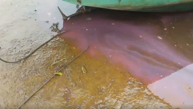 mé nước, dải nước màu đỏ hồng, nước màu đỏ xuất hiện trên vùng cửa biển Hà Tĩnh, Kỳ Hà, Hà Tĩnh ảnh 2 me nuoc, dai nuoc mau do hong, nuoc mau do xuat hien tren vung cua bien Ha Tinh, Ky Ha, Ha Tinh anh 2