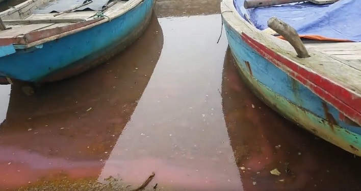 mé nước, dải nước màu đỏ hồng, nước màu đỏ xuất hiện trên vùng cửa biển Hà Tĩnh, Kỳ Hà, Hà Tĩnh ảnh 1 me nuoc, dai nuoc mau do hong, nuoc mau do xuat hien tren vung cua bien Ha Tinh, Ky Ha, Ha Tinh anh 1