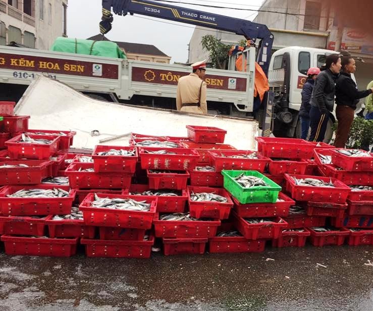 Lật xe chở cá trên quốc lộ ảnh 5 Lat xe cho ca tren quoc lo anh 5